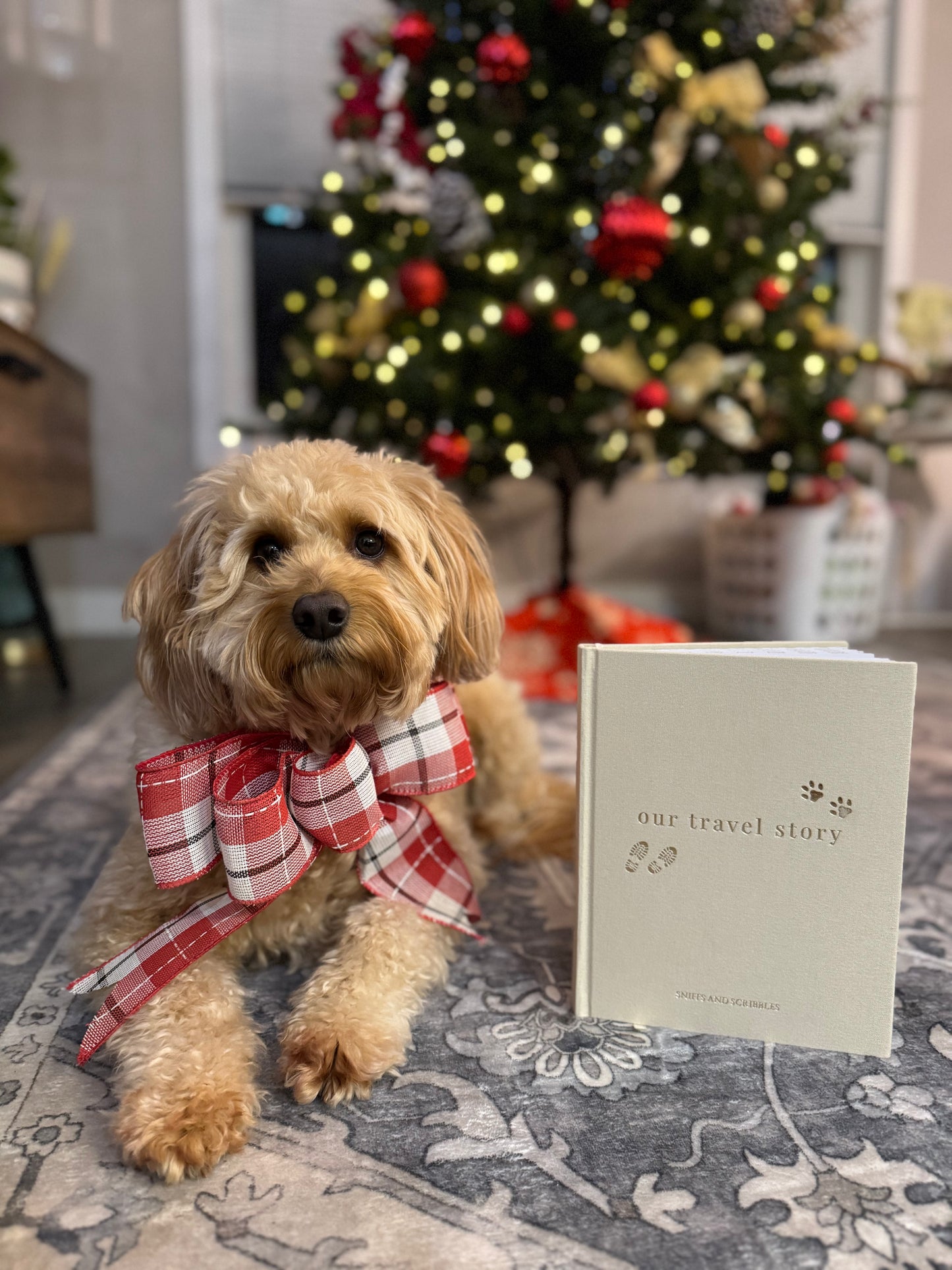 Our Travel Story – A Dog Adventure Journal (Oat)