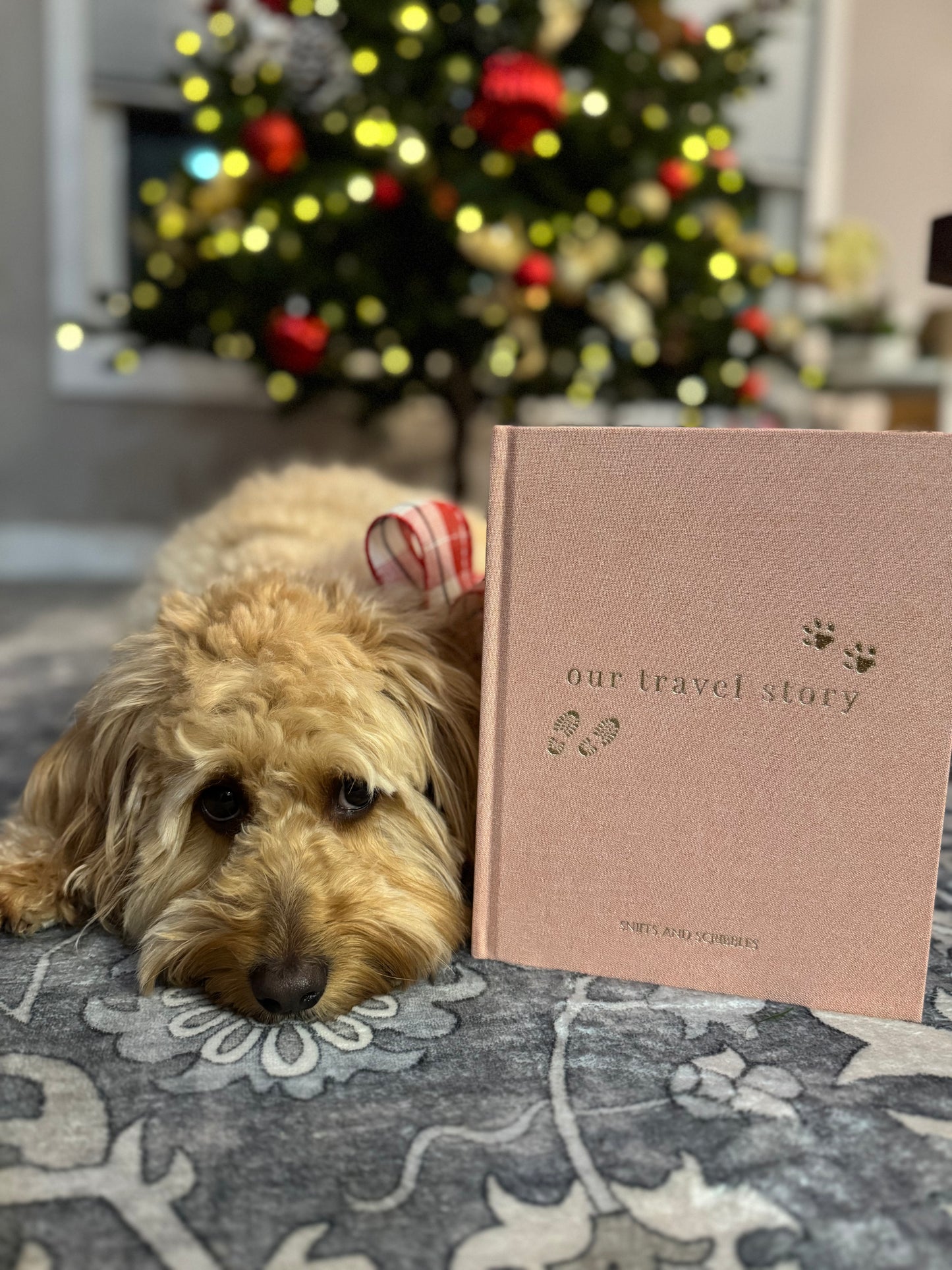 Our Travel Story – A Dog Adventure Journal (Pink)