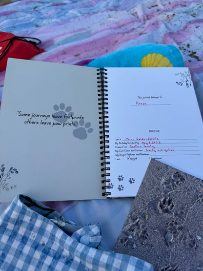 Journeying Together: A Dog’s Travel Diary