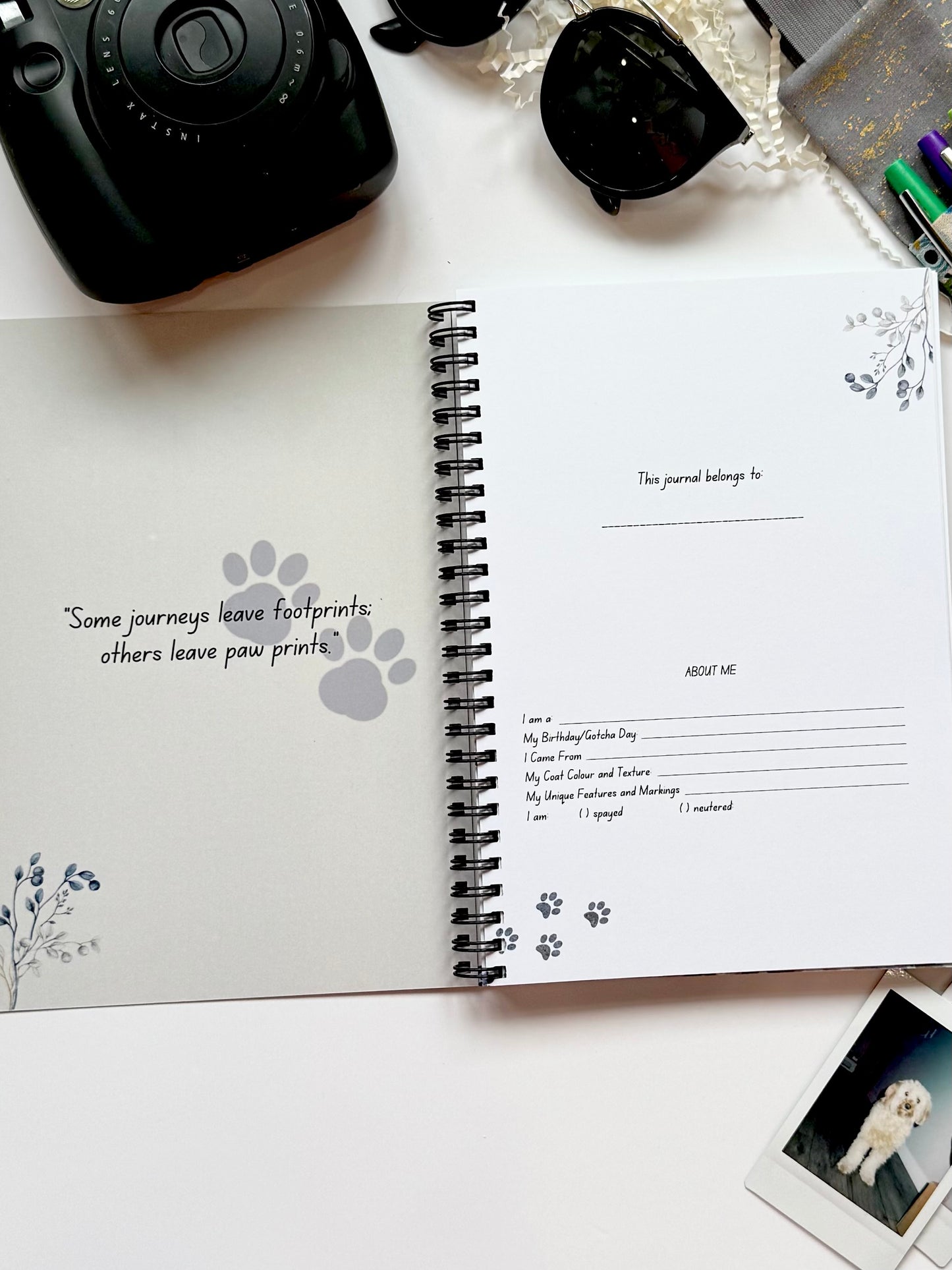 Journeying Together: A Dog’s Travel Diary