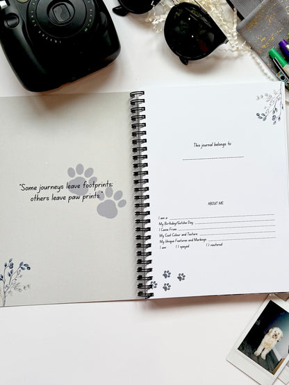 Journeying Together: A Dog’s Travel Diary