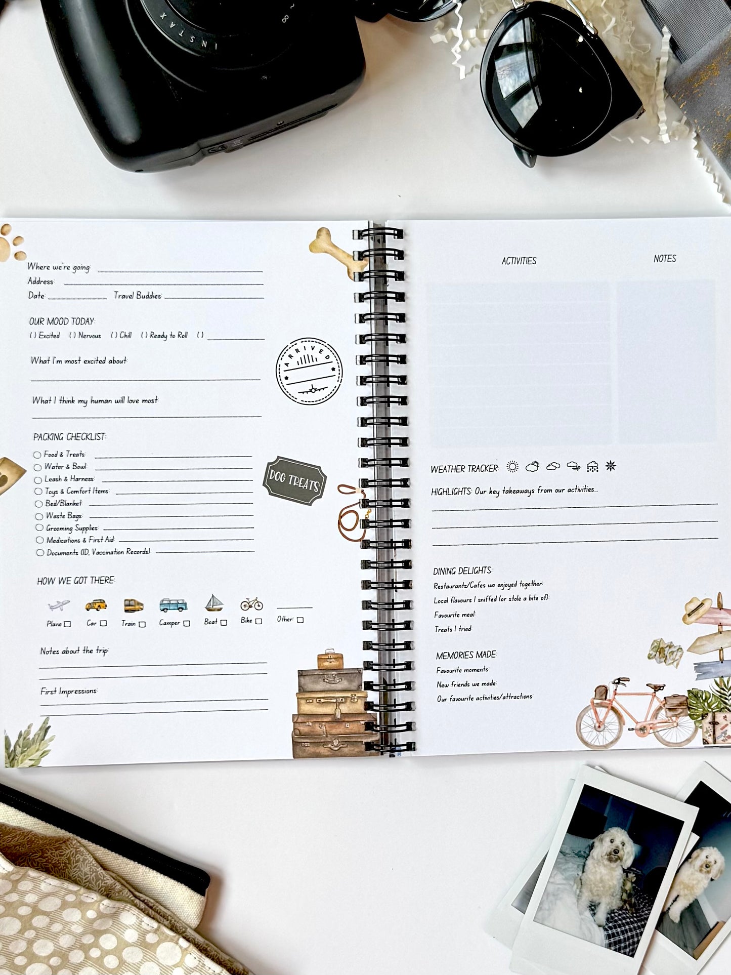 Journeying Together: A Dog’s Travel Diary