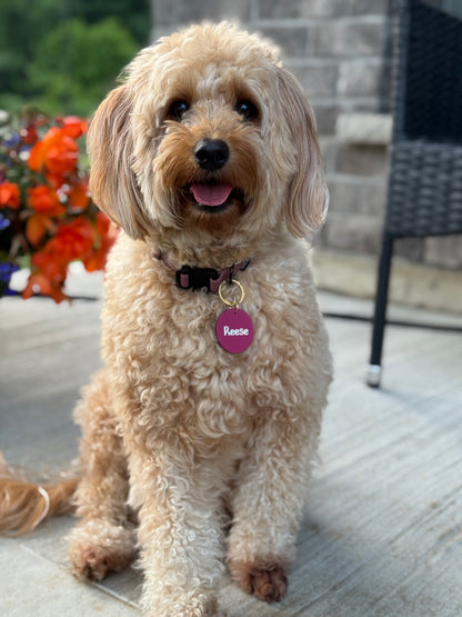 Leather Pet ID Tag (40mm)