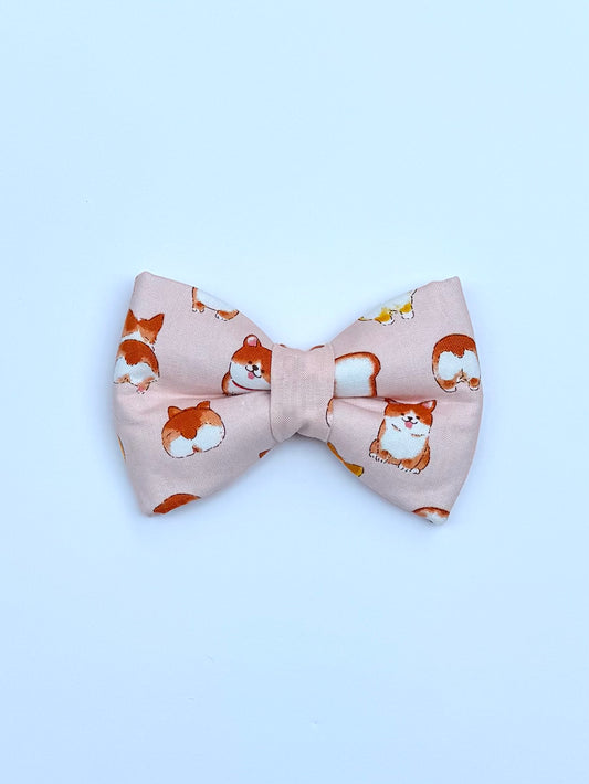 Corgi Bow