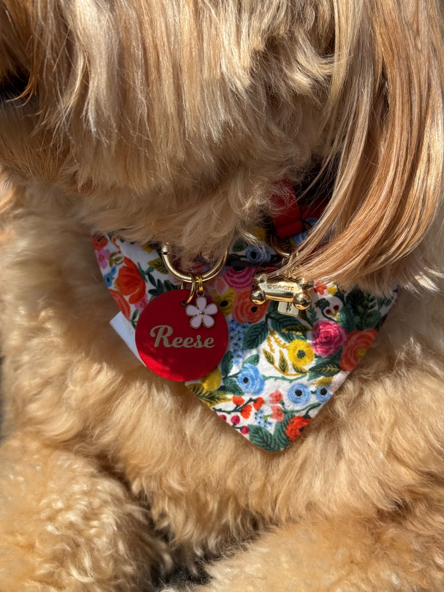 Round Leather Pet Tag (35mm)