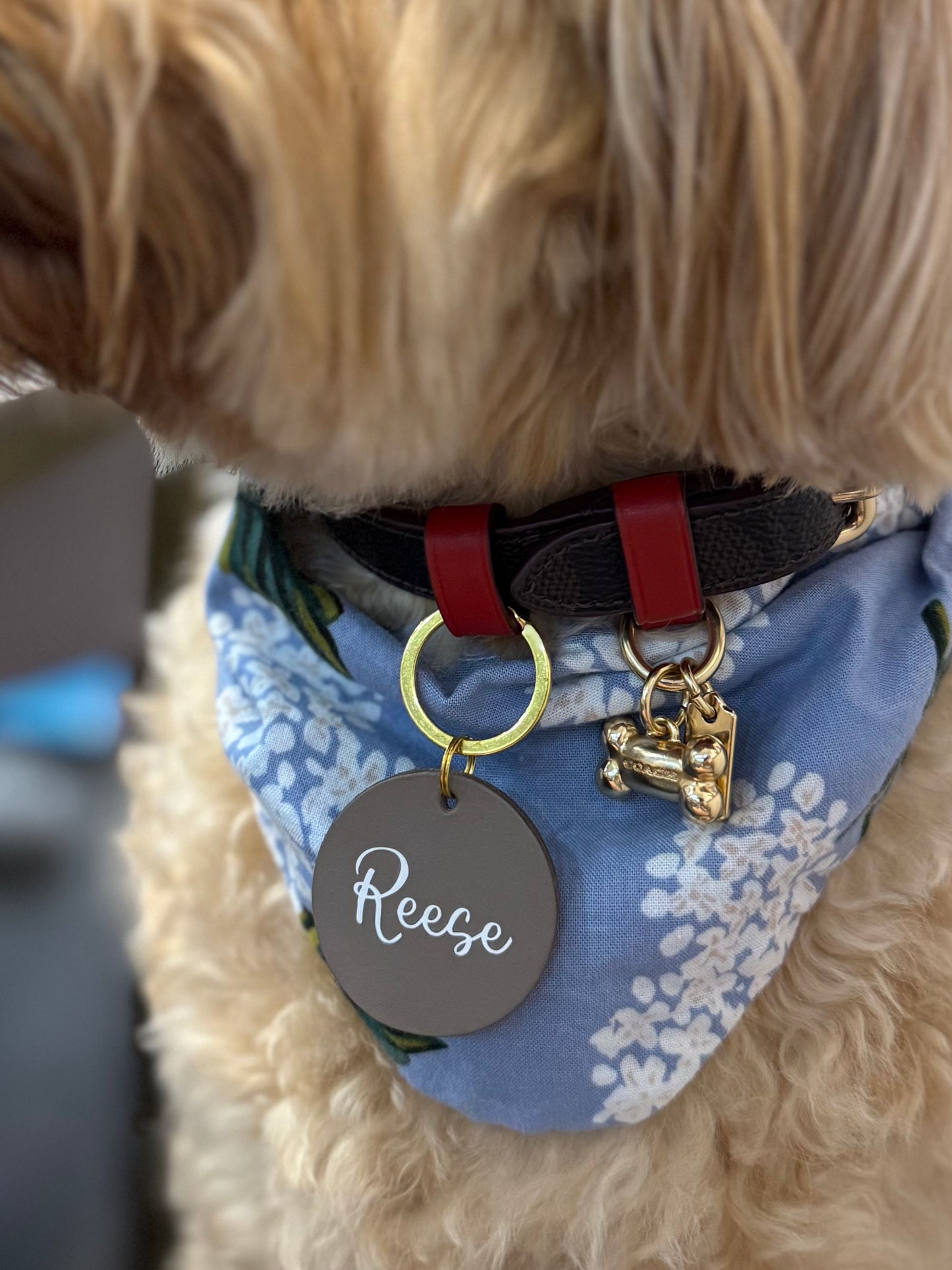 Leather Pet ID Tag (40mm)