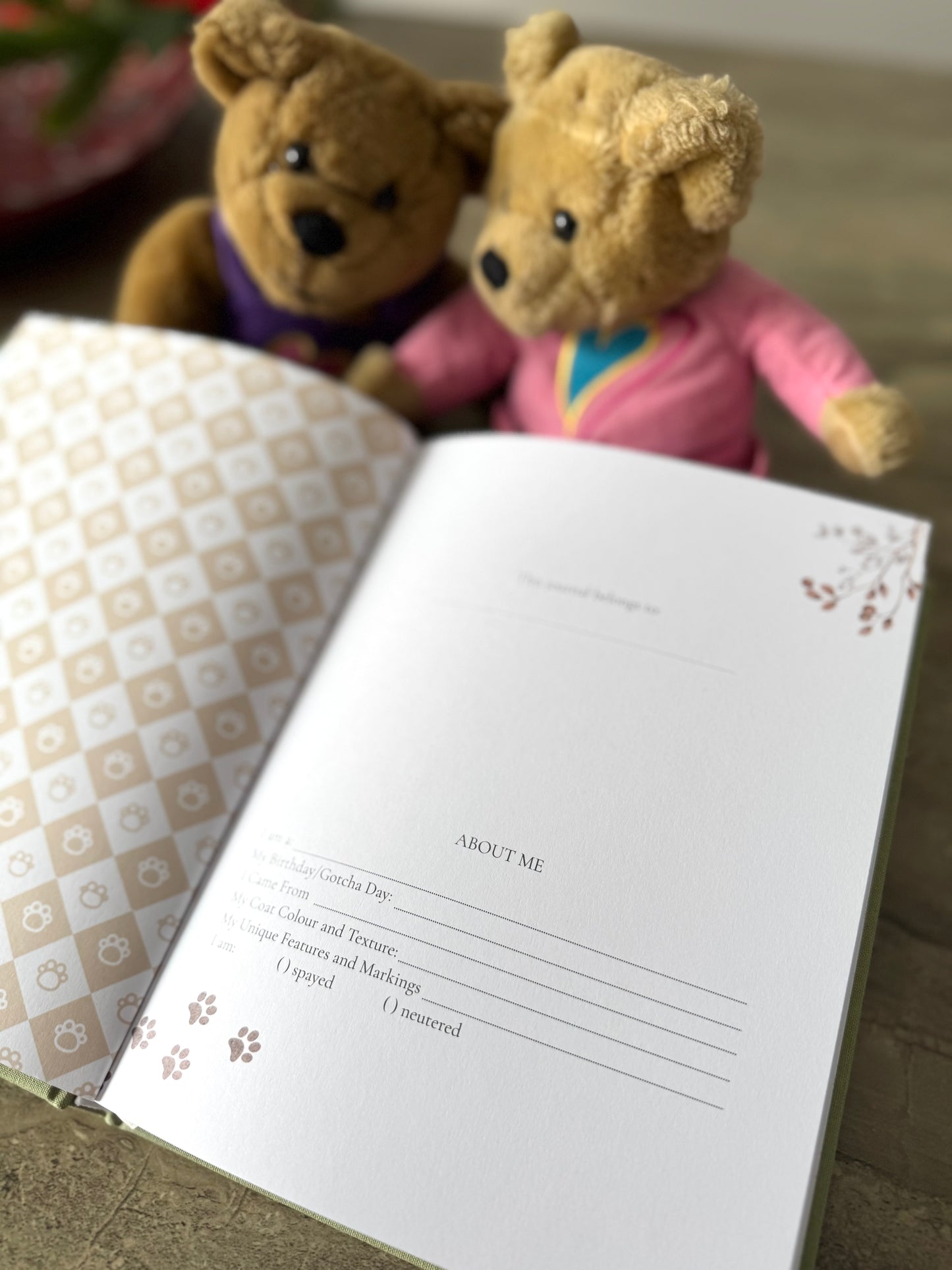 Our Travel Story – A Dog Adventure Journal (Oat)