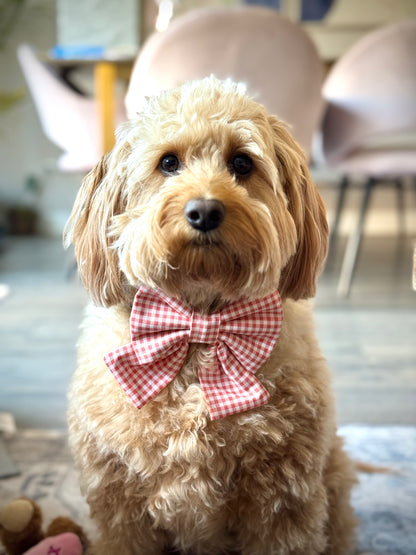 Farmhouse Gingham Bow