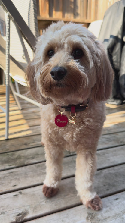 Round Leather Pet Tag (35mm)